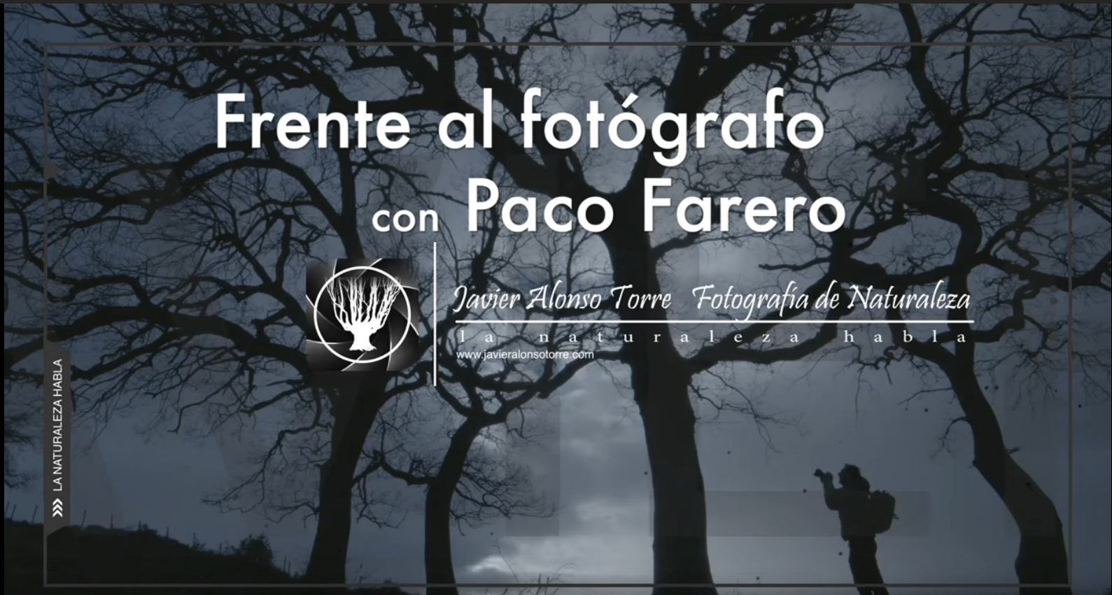 Javier Alonso Torre, Producciones.